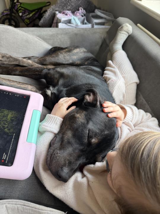 Sorry ladies and gents we’ve had a lazy day!❤️