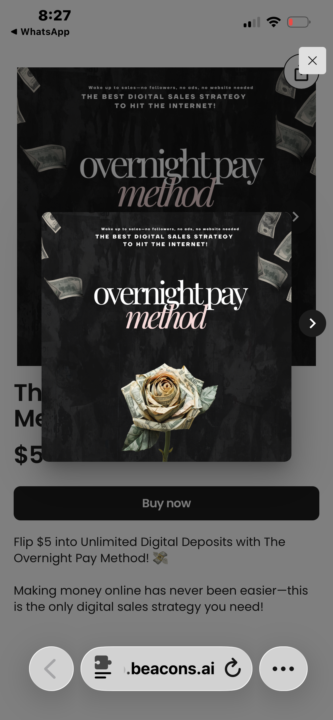 Overnight Pay Method