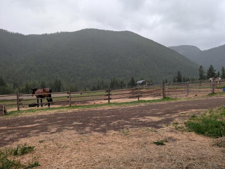 This Was My Office Today 🏞️