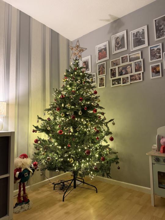 🎄CHRISTMAS TREE CHALLENGE 🎄 