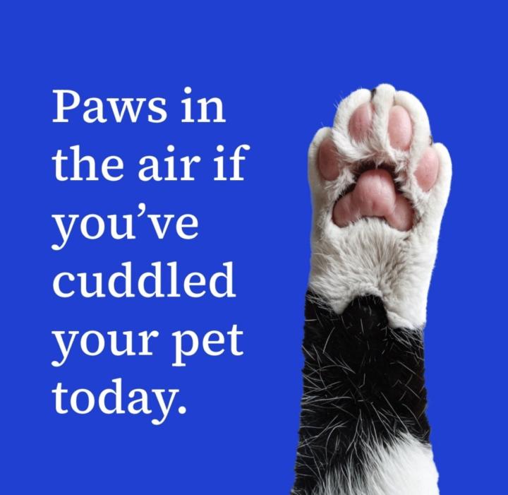 Blue Monday Fix 💙