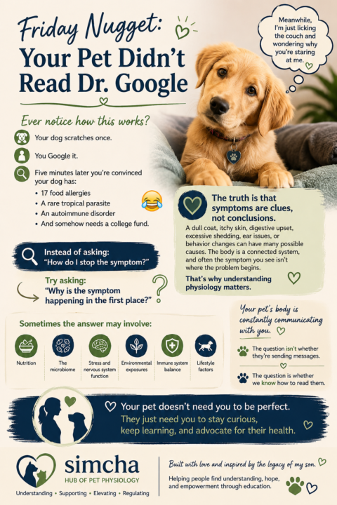 Friday Nugget: Your Pet Didn't Read Dr. Google
