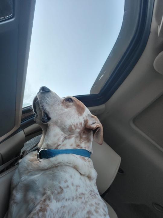 Rebuilding With Clarity!❤️‍🔥