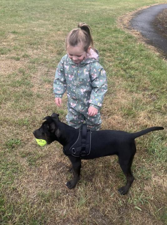 Can we see your non human buddies!?😊🐕