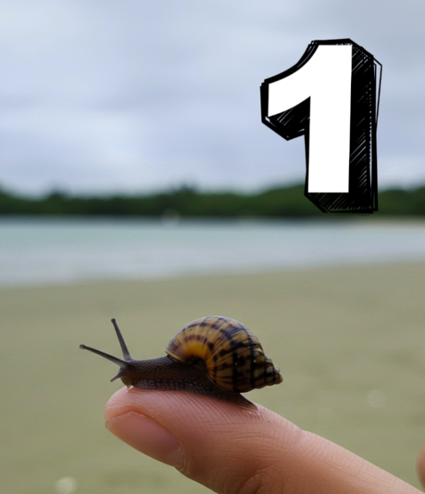 AI or REAL? Can you spot the fake?