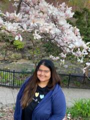 Heli Gandhi