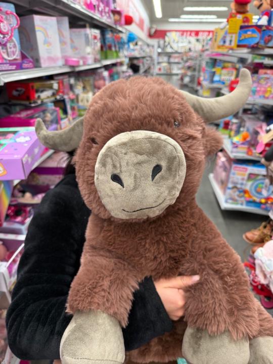 Mía Siera