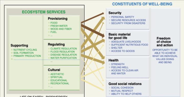 In the kitchen with 'Dave'