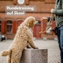 Hundetraining