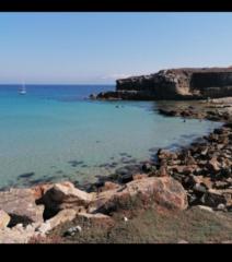 Andreia Almeida Deus