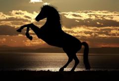 Pablo Montes Marichal