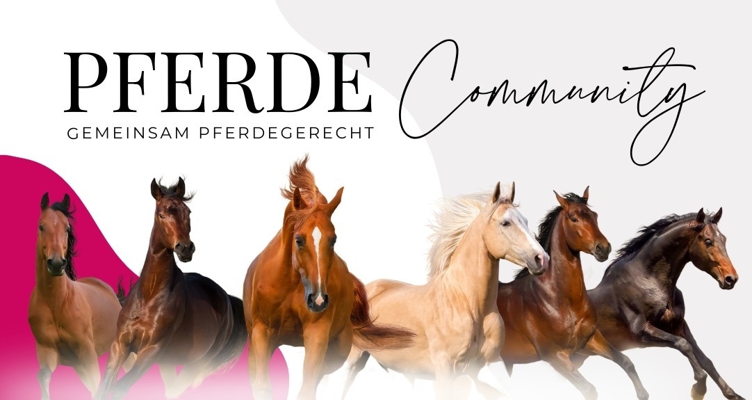 Pferde 🐴 Community