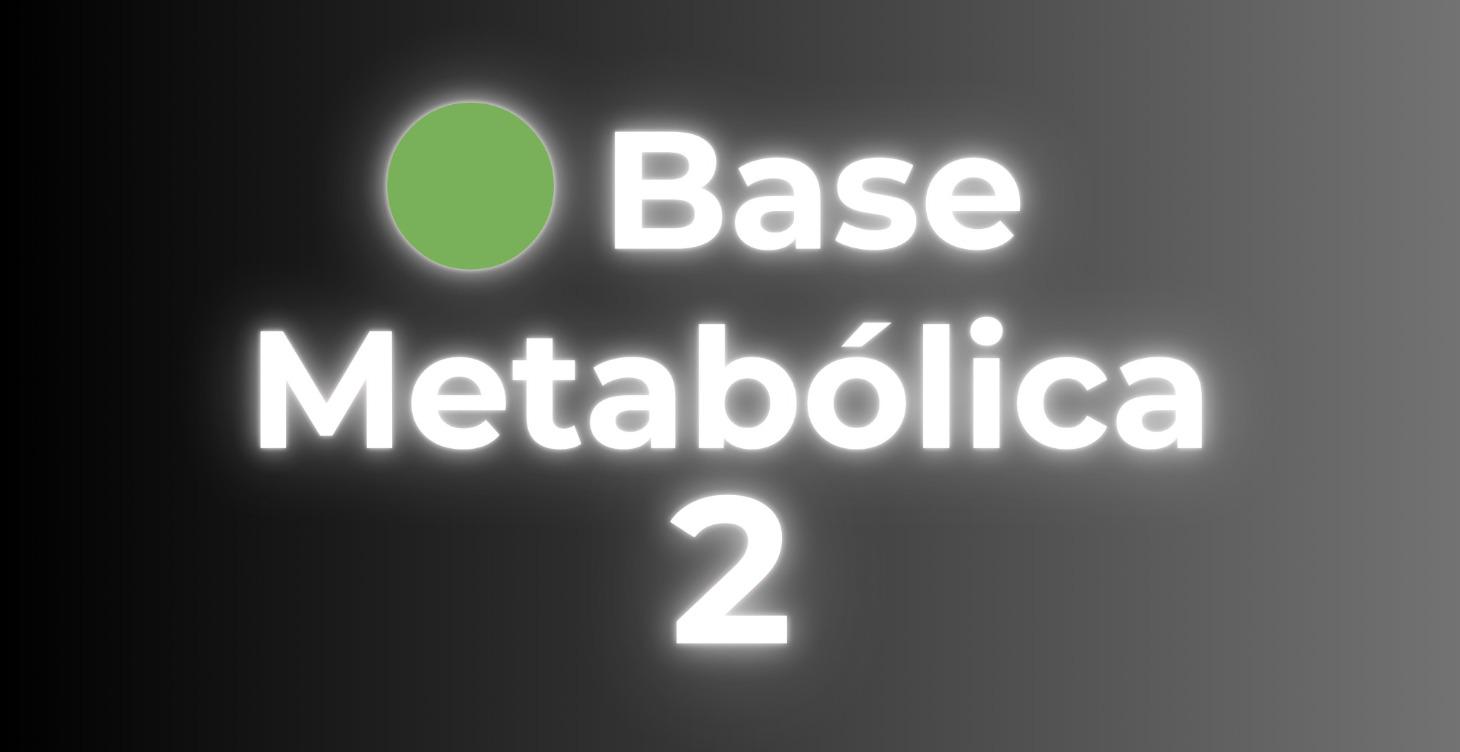 🟢 Base Metabólica