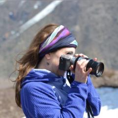 Claudia Celedón Carrasco