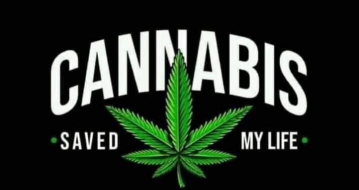 High Road, By Name, By Nature.