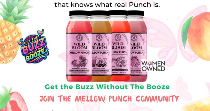 Mellow Punch Club