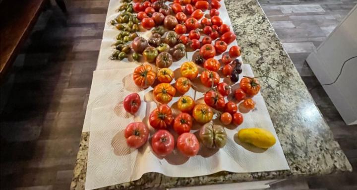 Gardening with a full schedule