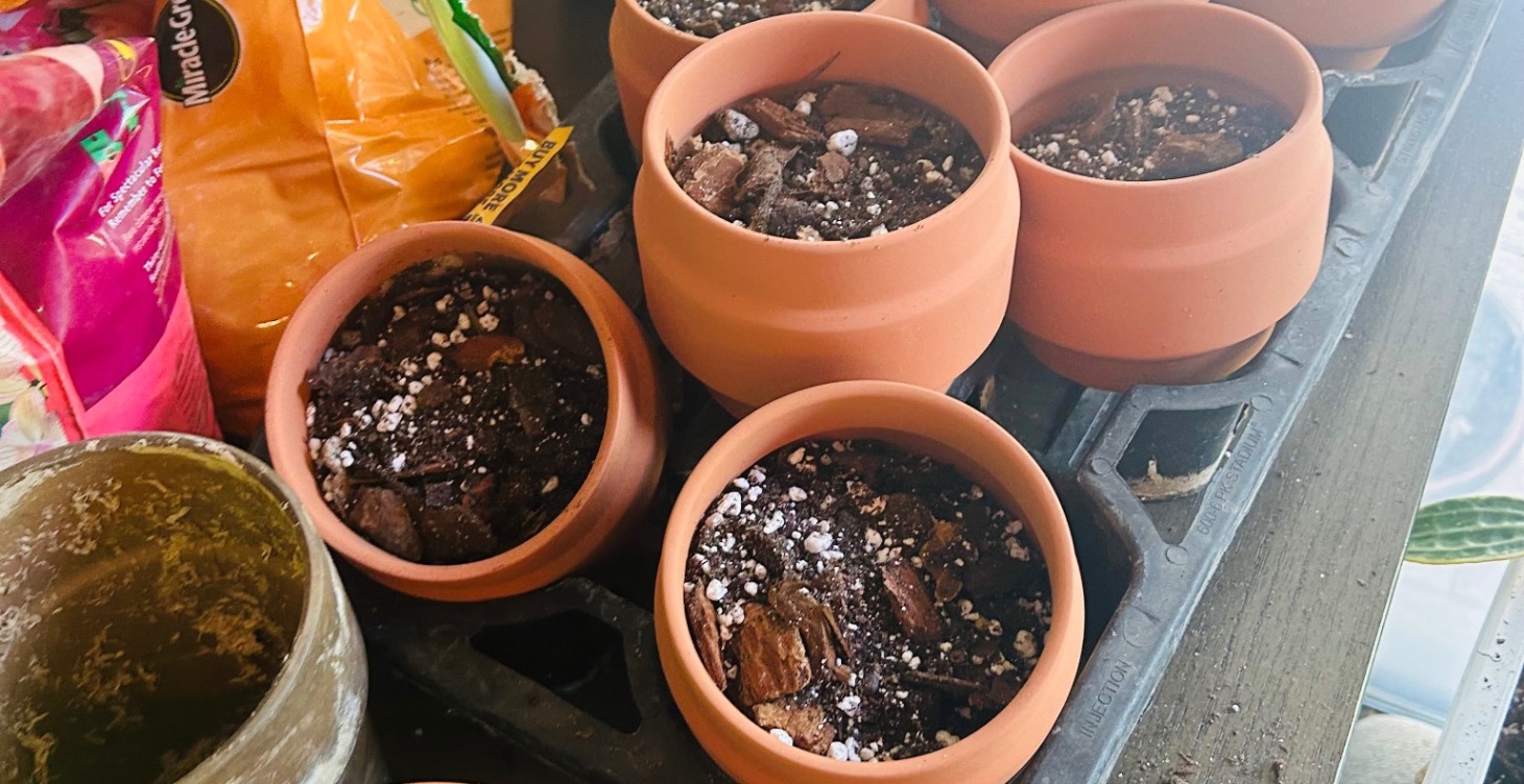 Pots for your plants