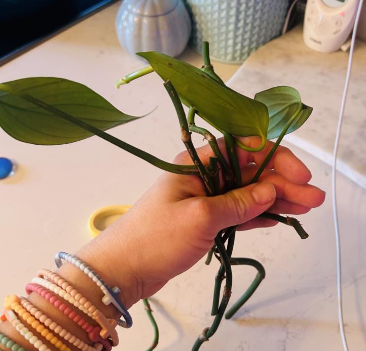 More propagating! 