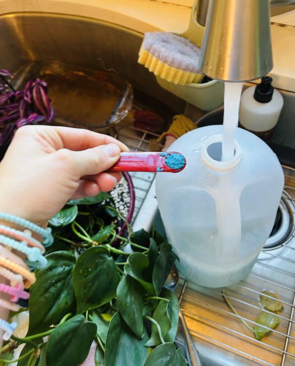 Does anyone have a favorite fertilizer? 