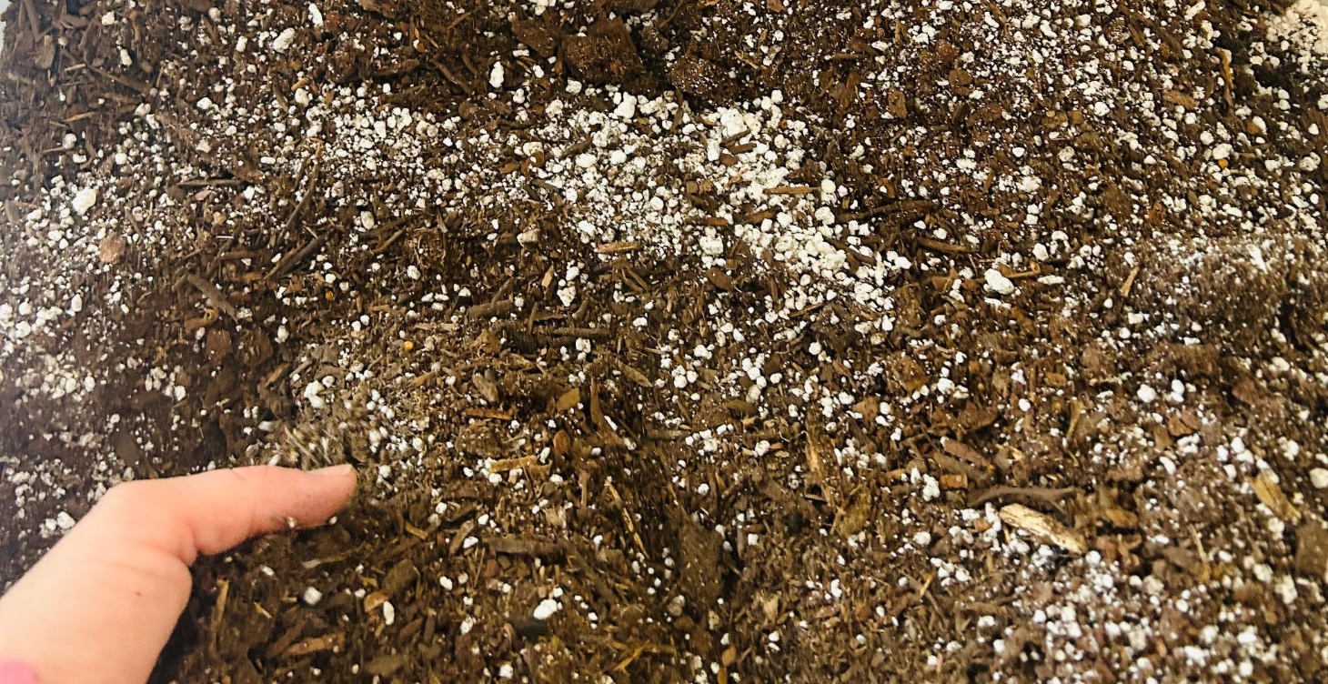 Soil mix for houseplants
