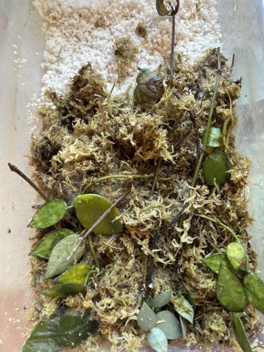 Prop box update…