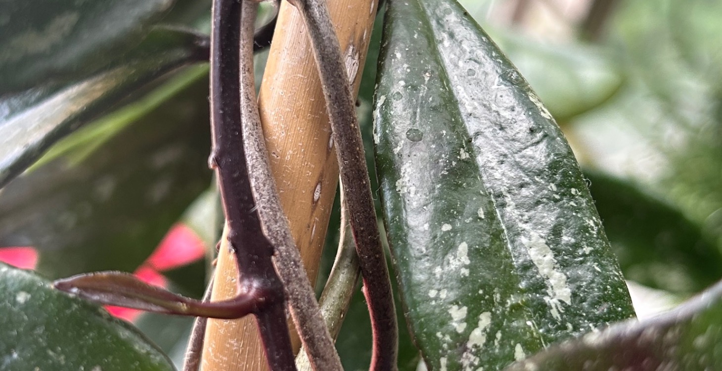 Propagation 101