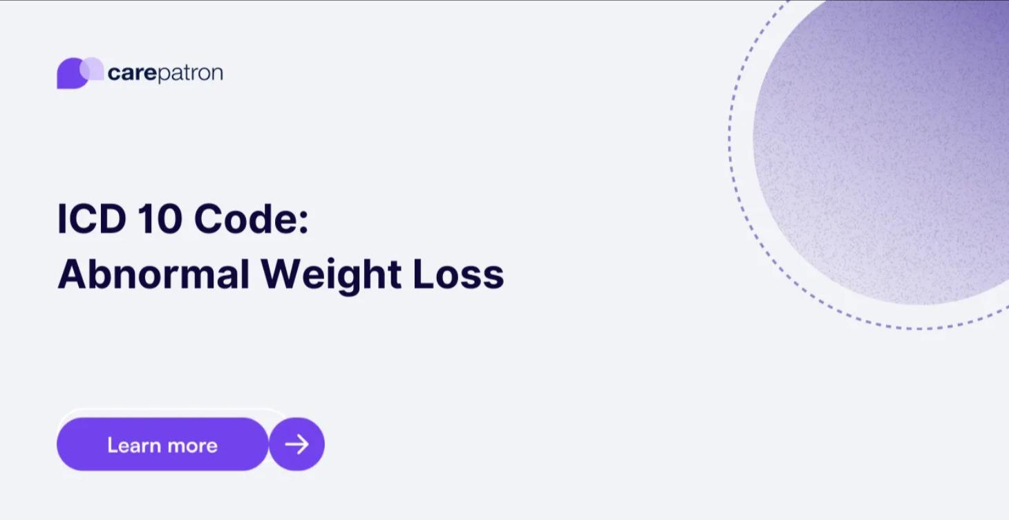 Senior-friendly Menus 1 year