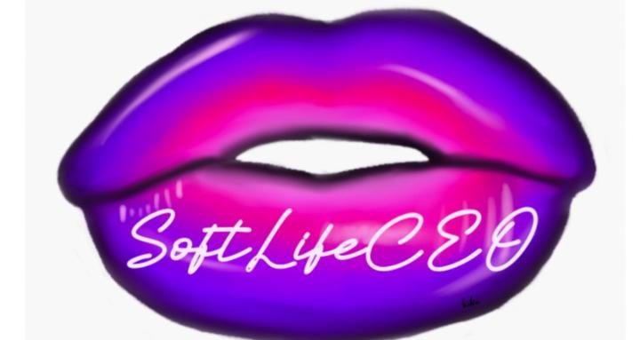 The SoftLifeCEO Academy