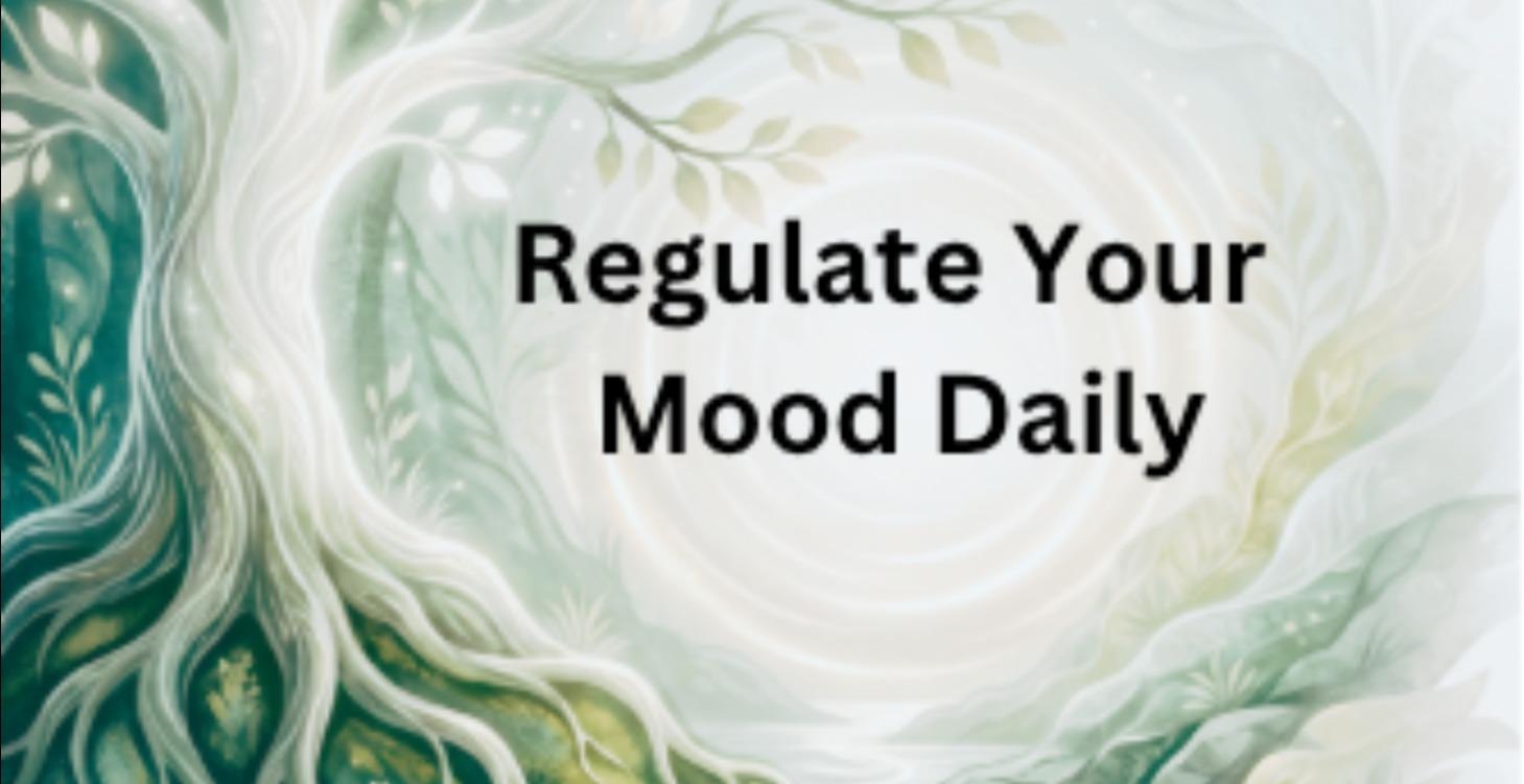 Mood Meter for Emotional Regulation