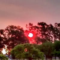 René antonio Garrido Godoy