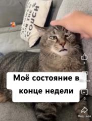 Виктория Страупе