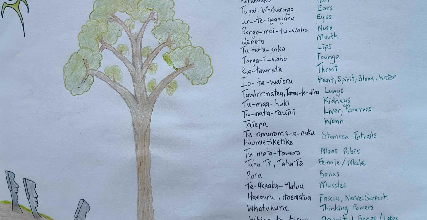 Nature via Māori Knowledge (in English)