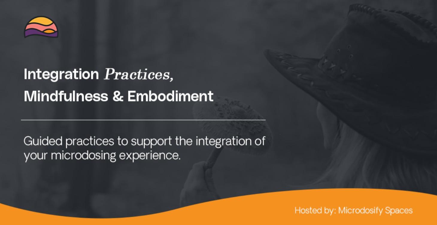 Integration Practices, Mindfulness and Embodiment