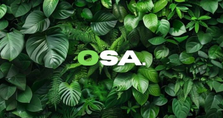 Online Succes Academy [OSA]