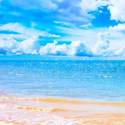 Sam and Veronica Perea