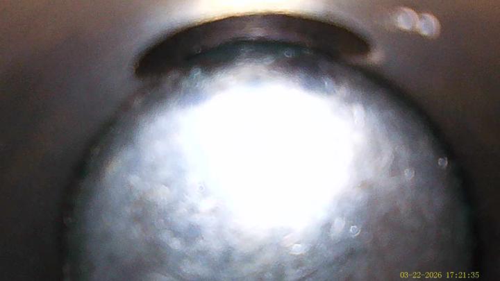 Oil galley plug