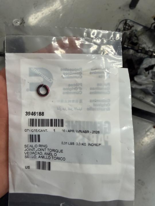 Dipstick o-ring 