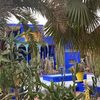 Wassila El ouargui
