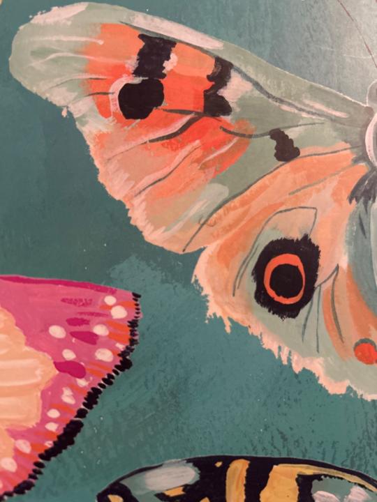 Miss Trish Miss Trish