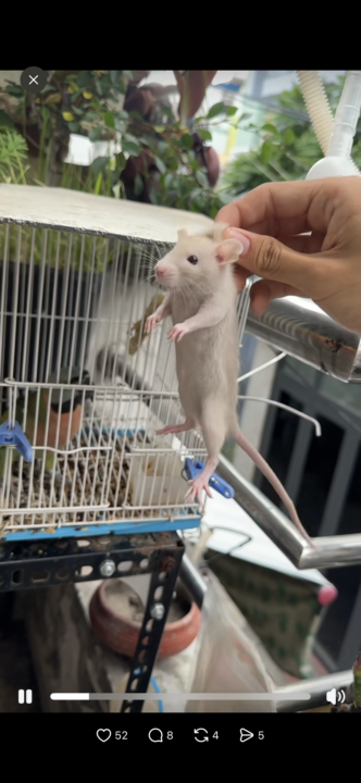 Giới thiệu bản thân