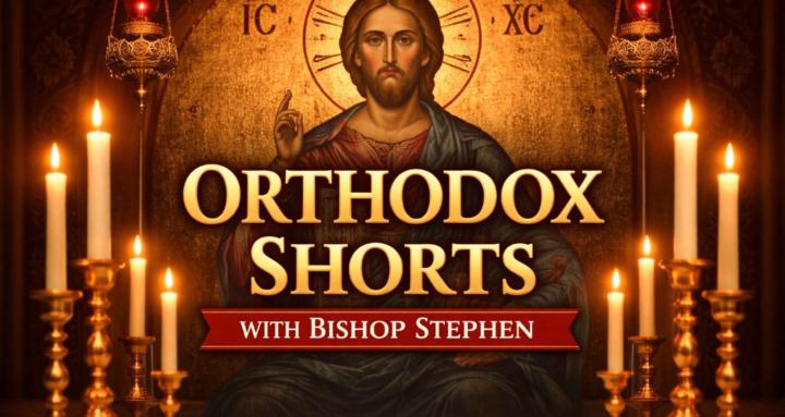 Orthodox Shorts