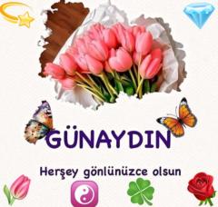 Hatice gaye Vural