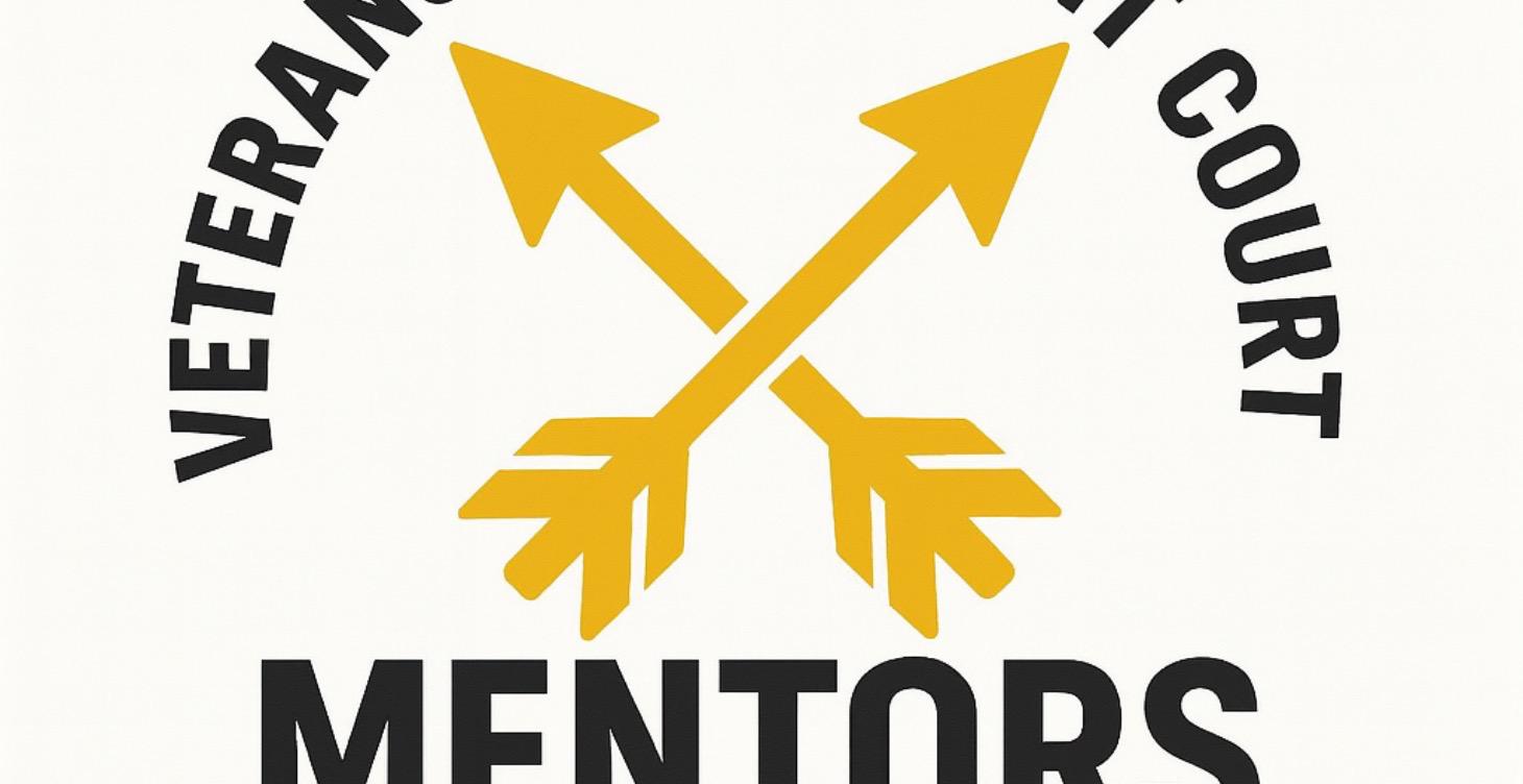 ⚖️ The PTSD™ VTC Mentor Program