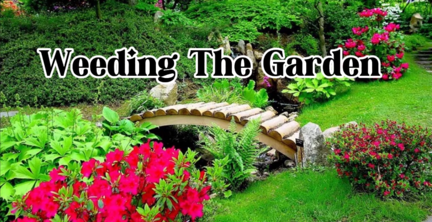 Weeding Your Garden - Getting Ready to Manifest
