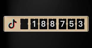  Compteur TikTok,