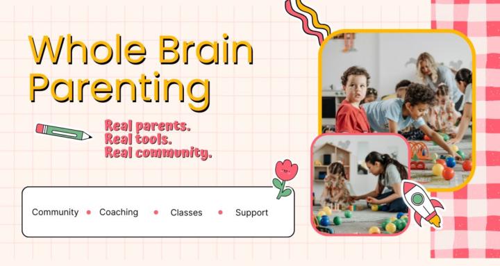 Whole Brain Parenting
