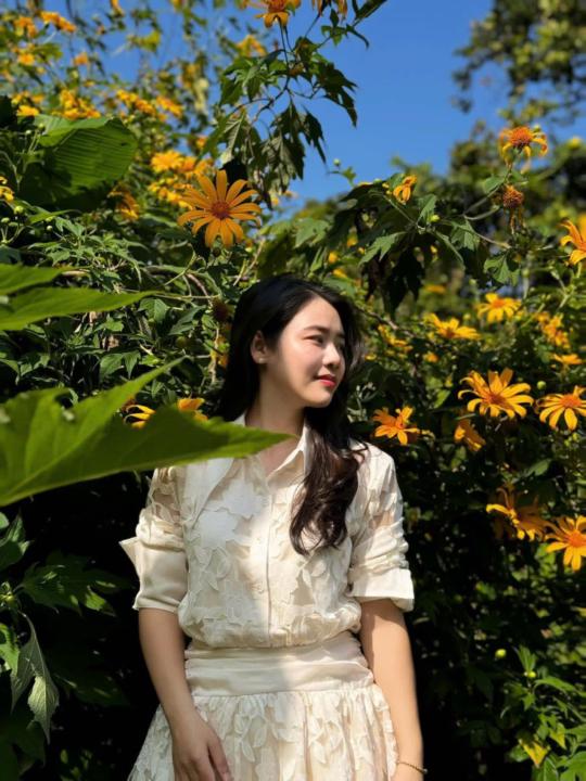 Vân Anh Vũ
