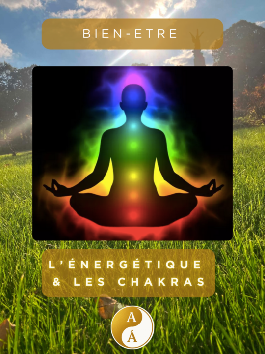 🌿 BIEN-ÊTRE : L’ÉNERGÉTIQUE ET LES 7 CHAKRAS 🌿
