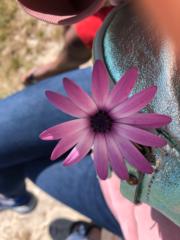 Maïlys Dos santos bispo